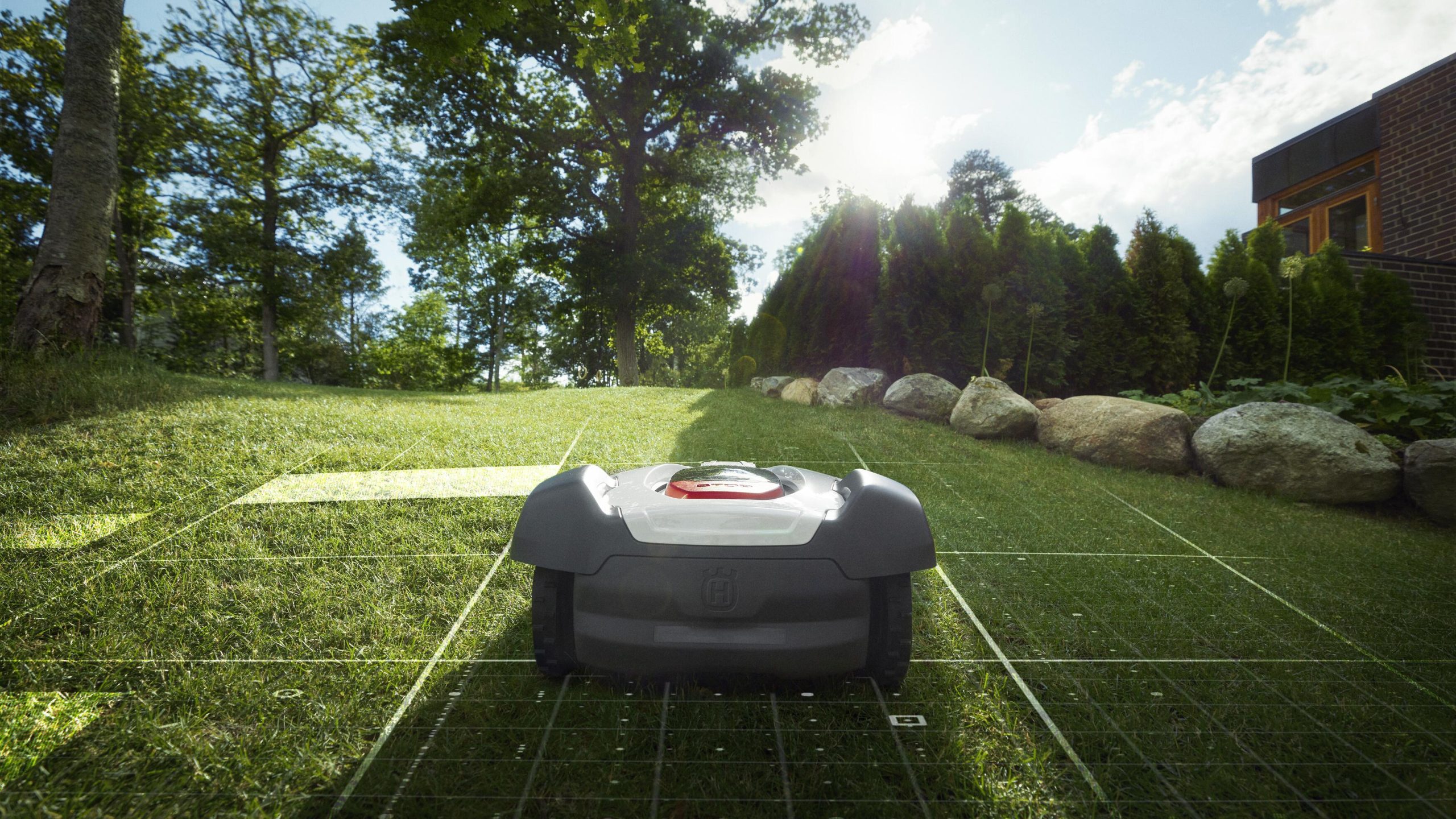 Robotgräsklippare på gräsmatta
